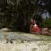 iguana_blue_qebp_gc_h_0224_cay0702.jpg